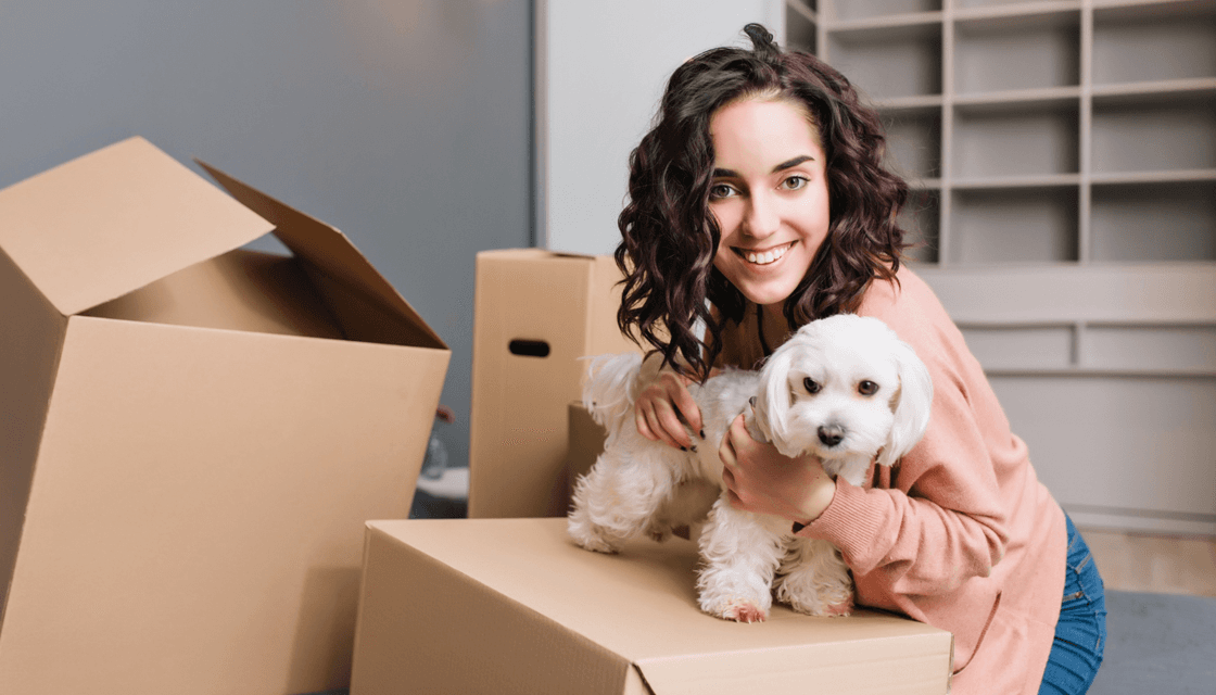 Pet relocation services for families moving internationally