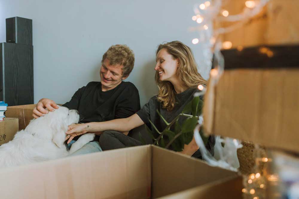 Pet relocation service