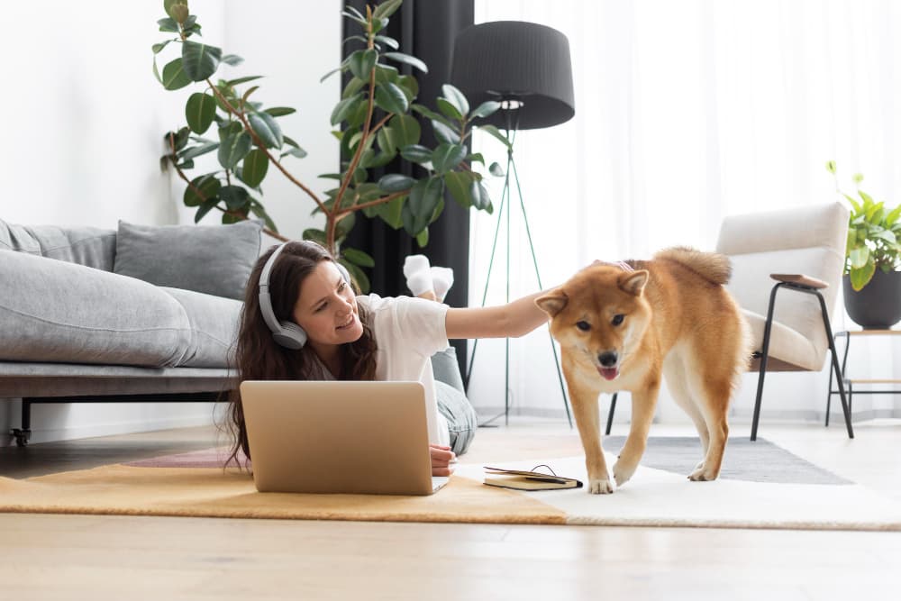 MovingBay relocation support